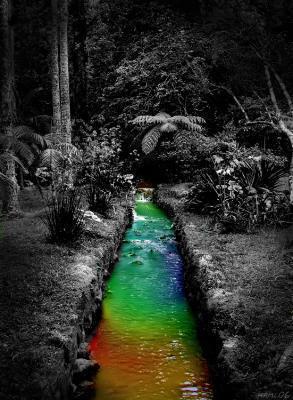 un monde plein de couleurs