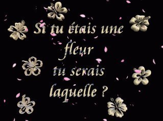 si tu �t� une fleur